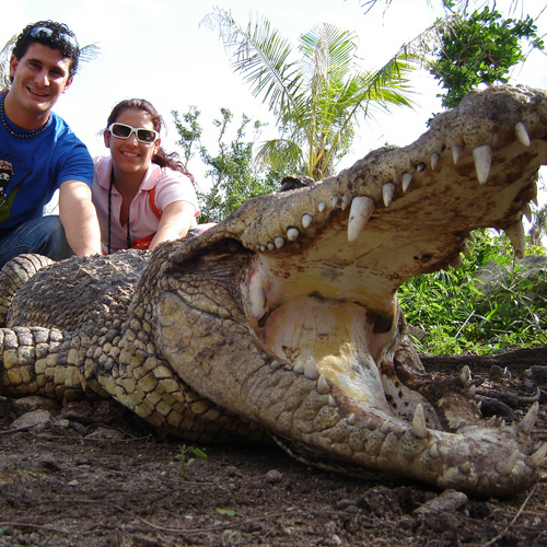 vimex-vacation-rentals-crococun-zoo-cocodrile-riviera-maya.jpg